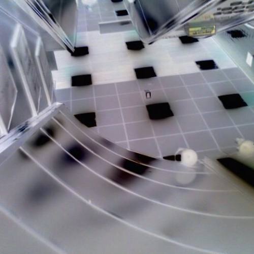 Evolving Mobilities